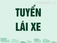 Cơ hội việc làm